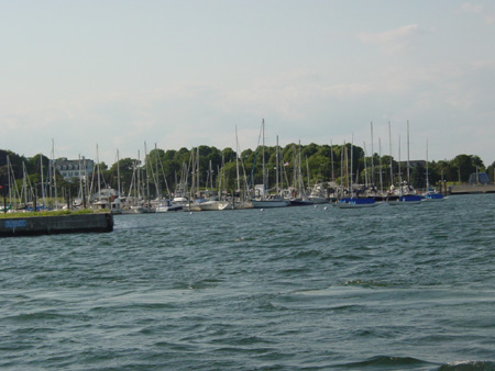 DSC02545