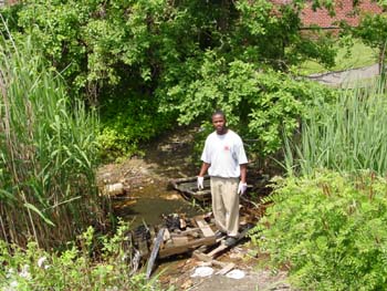 Pallet_bridge