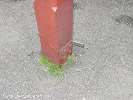 11_Pole2_North_2818